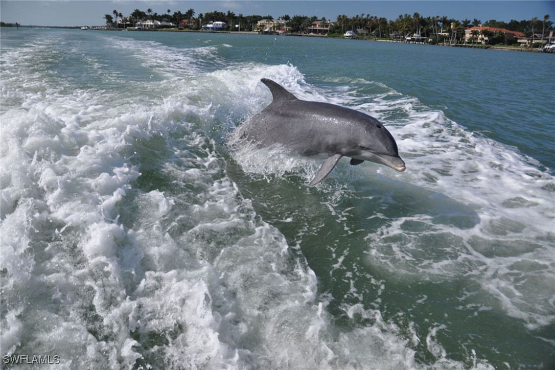 Community