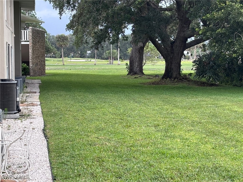 Yard
