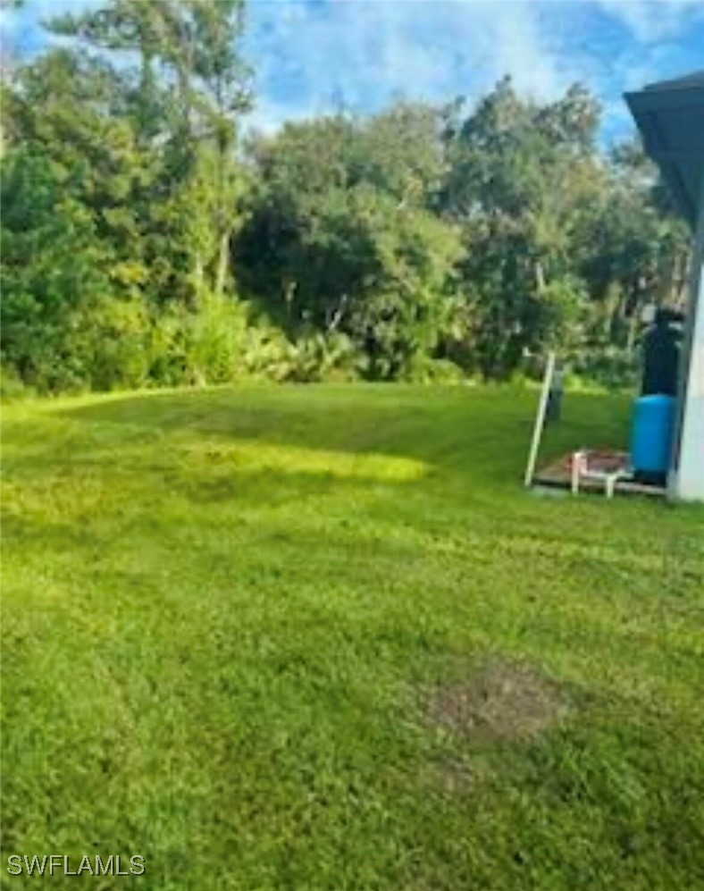Yard