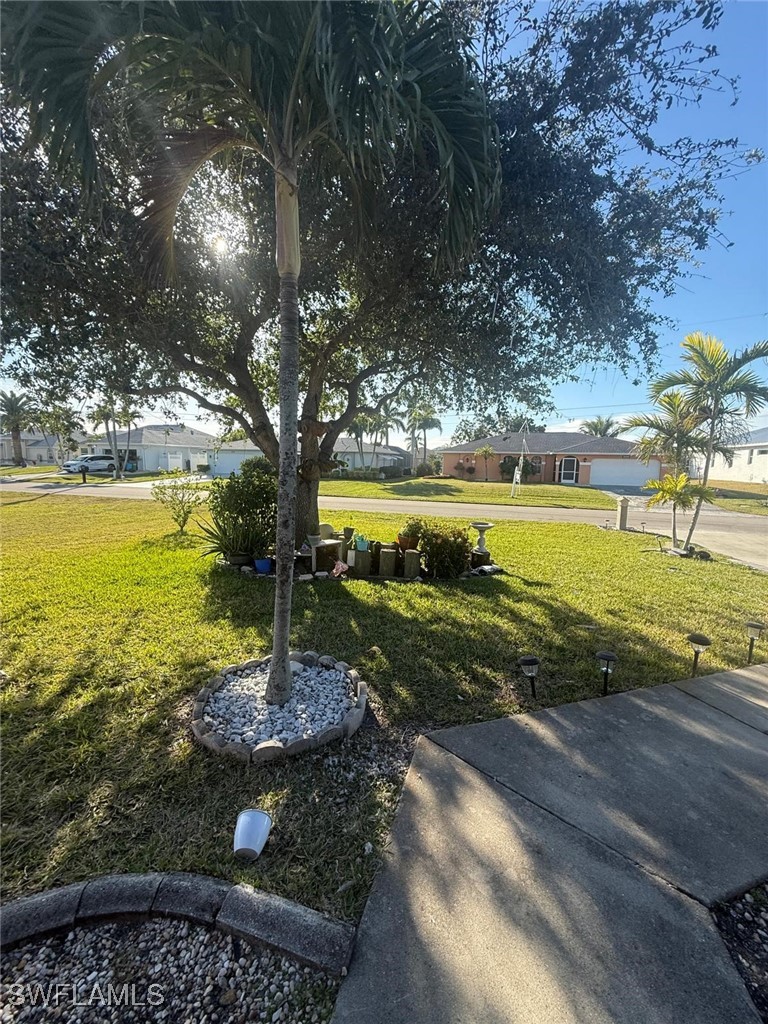 Yard