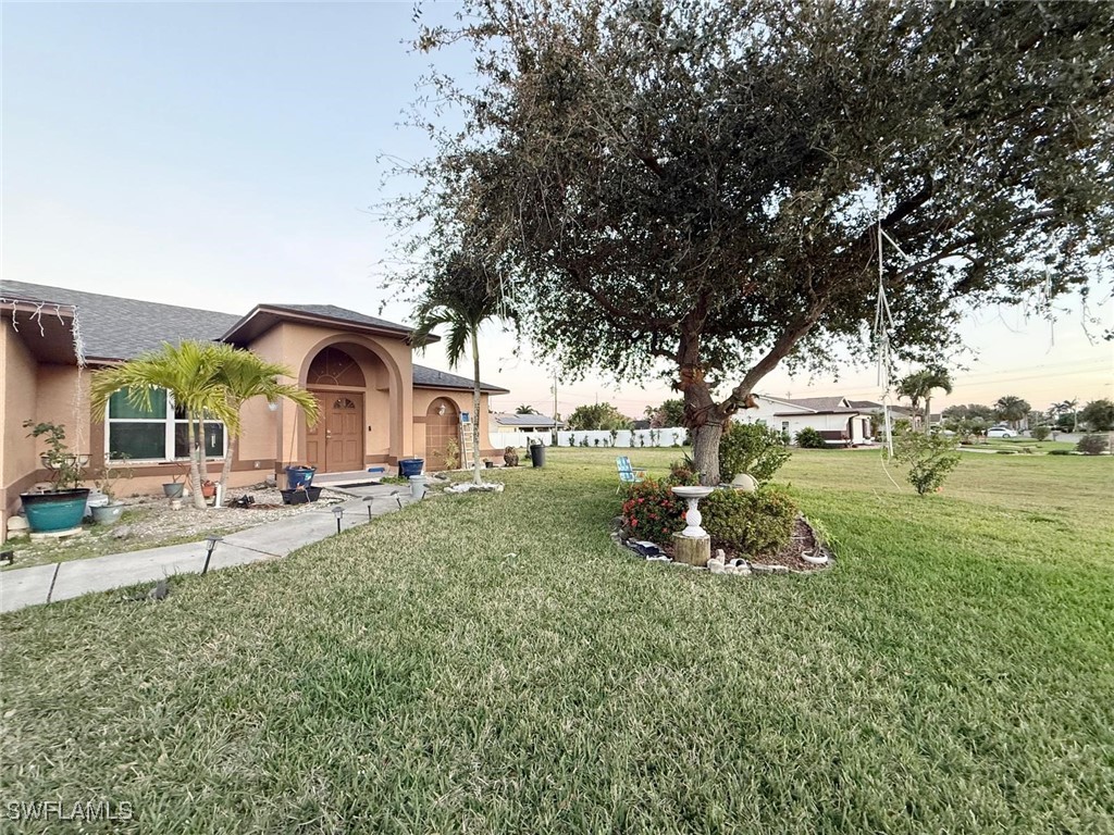 Yard