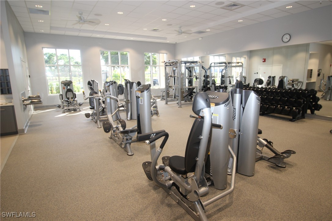 Gym