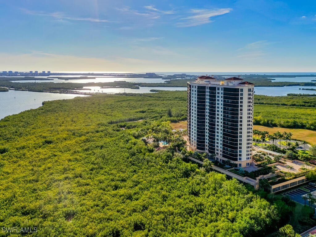 AerialView