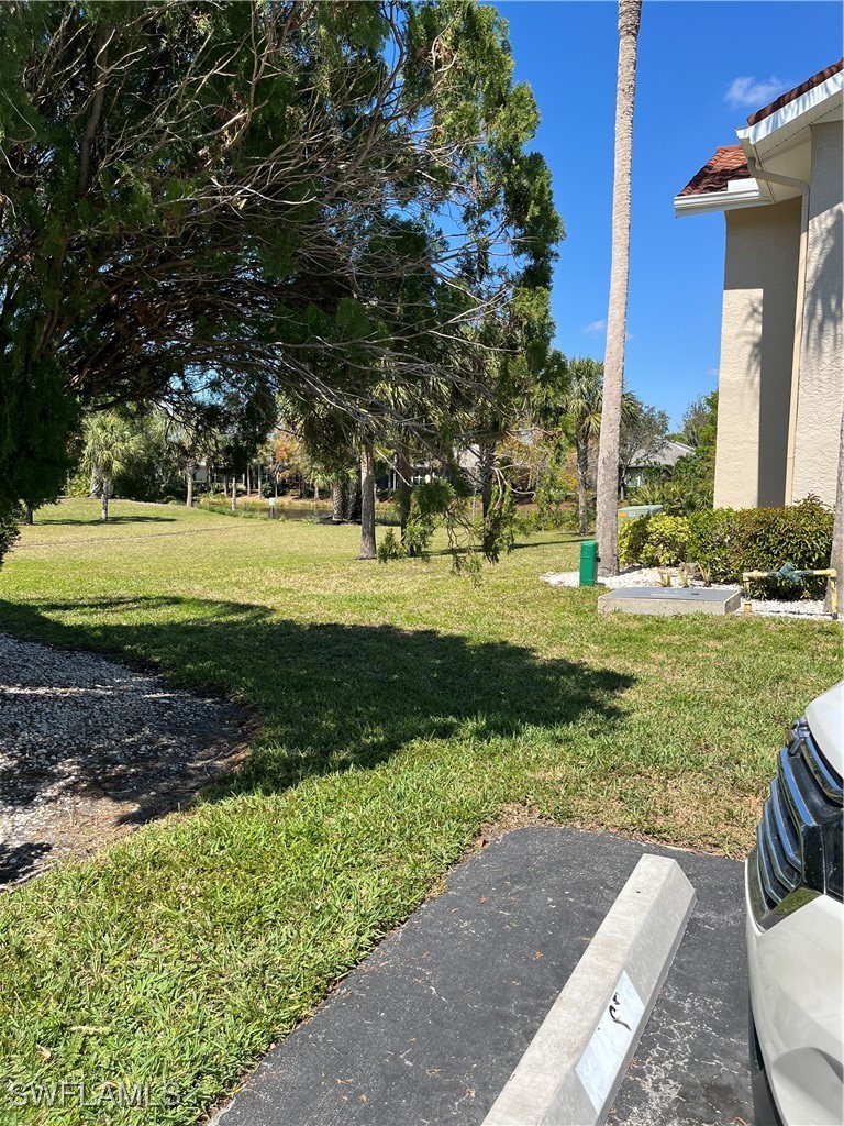 Yard