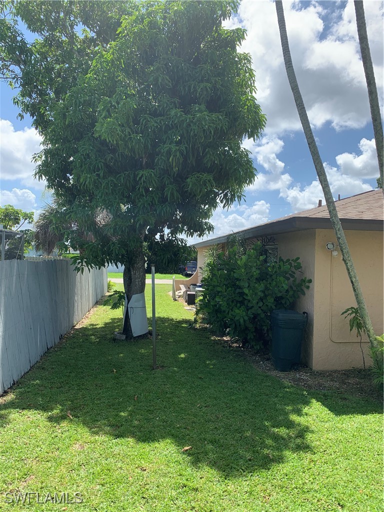 Yard