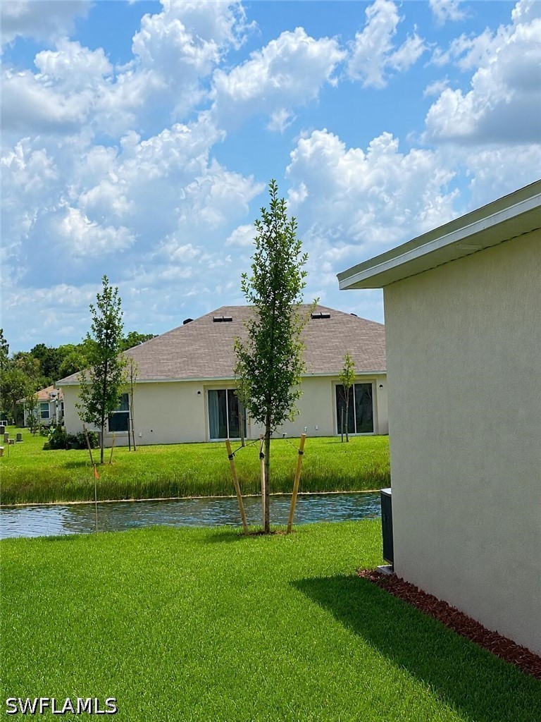 Yard