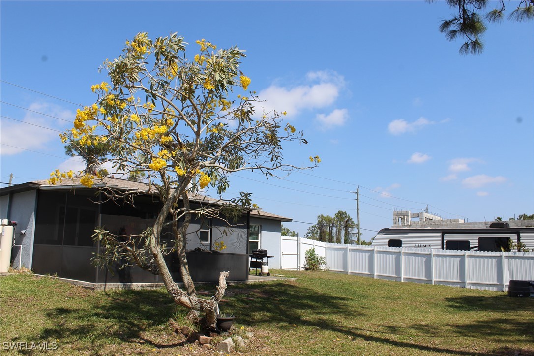 Yard