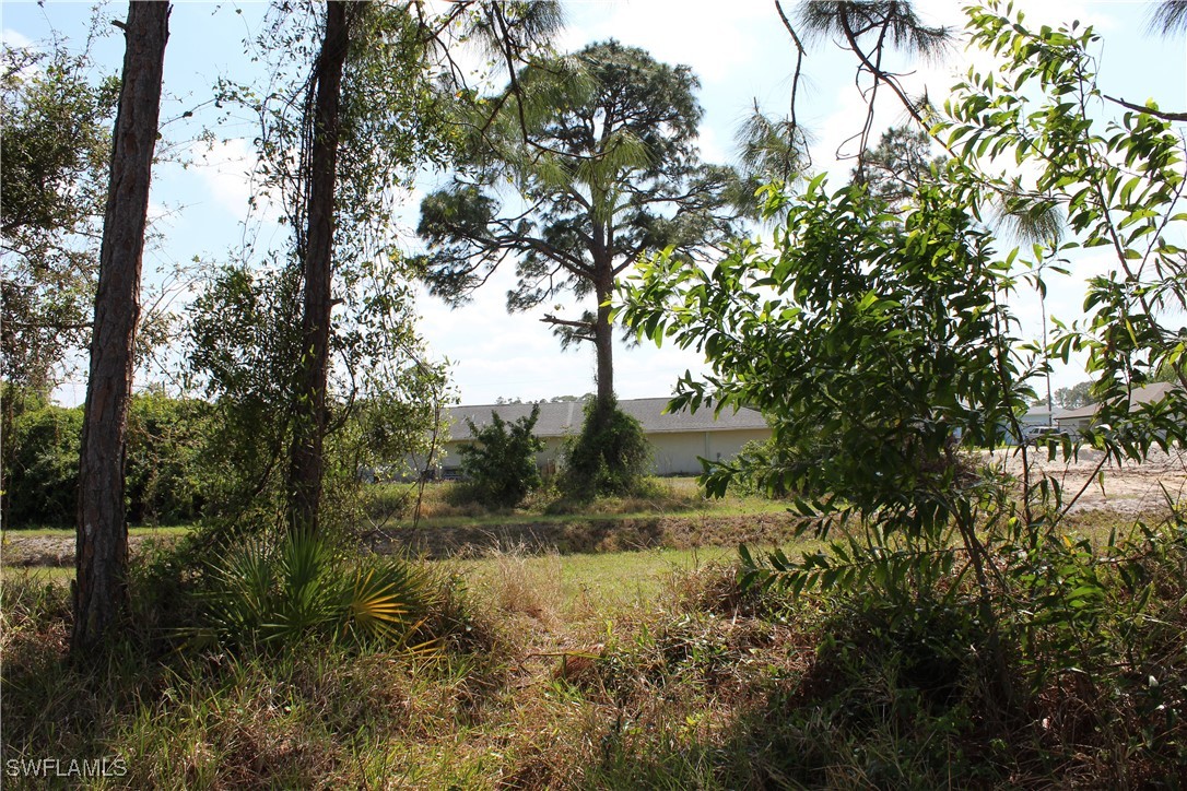 Yard