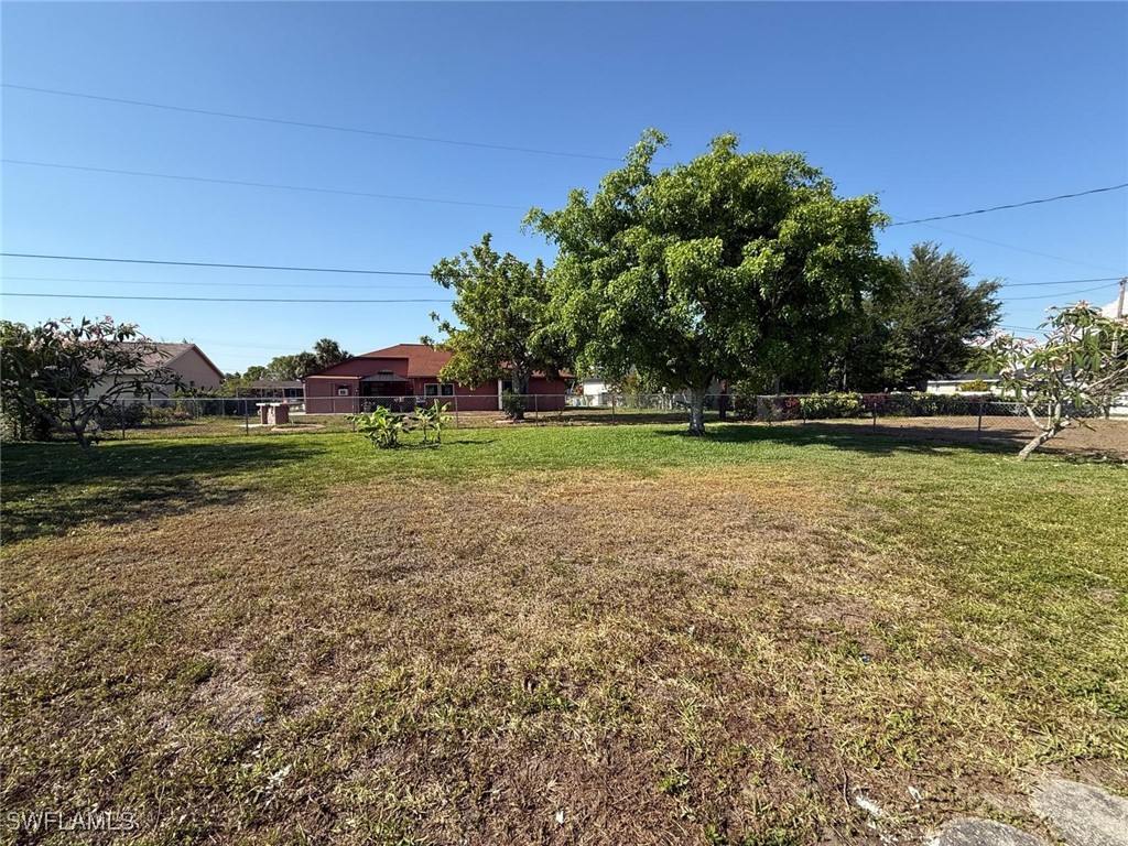 Yard