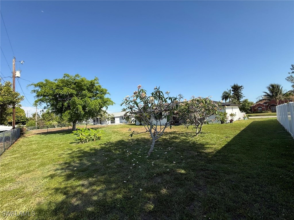 Yard