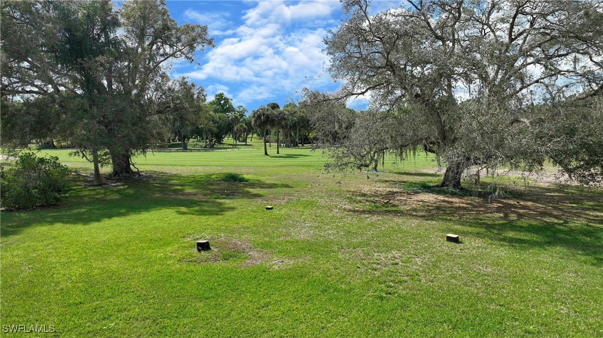 Yard