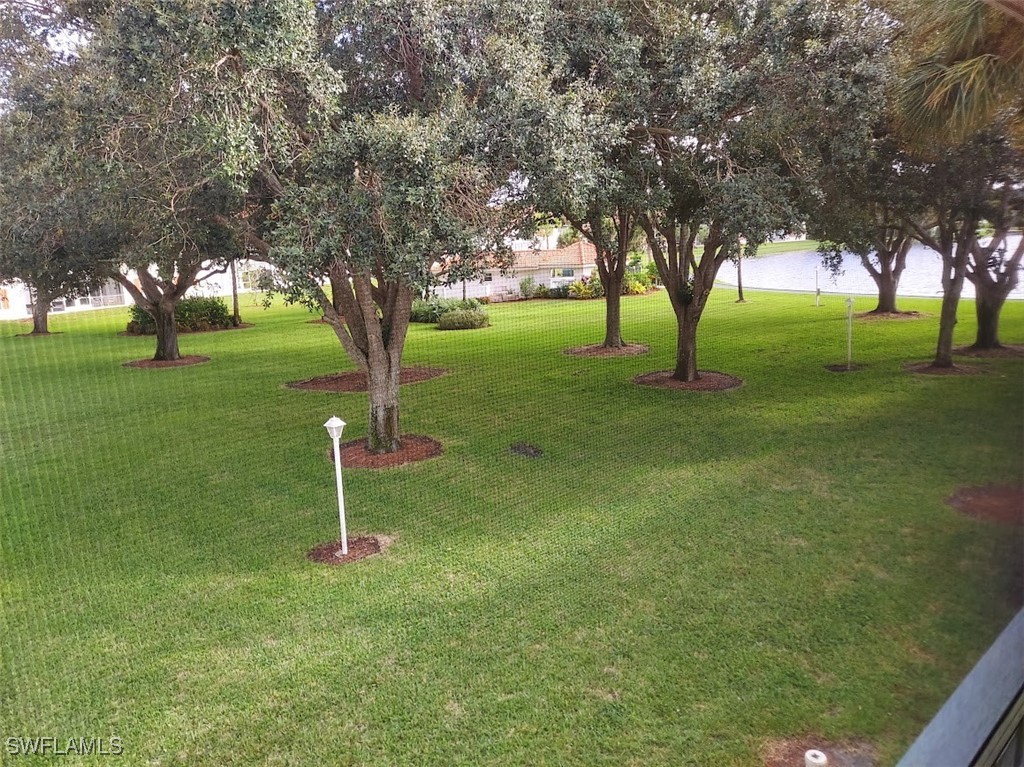 Yard