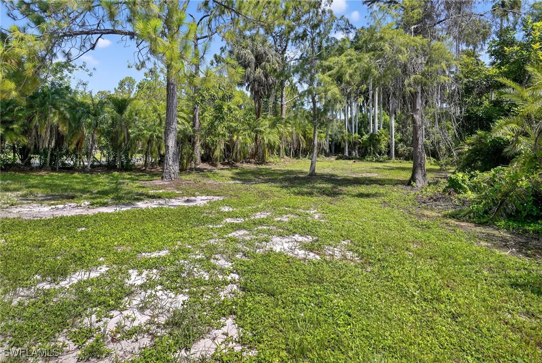 Yard