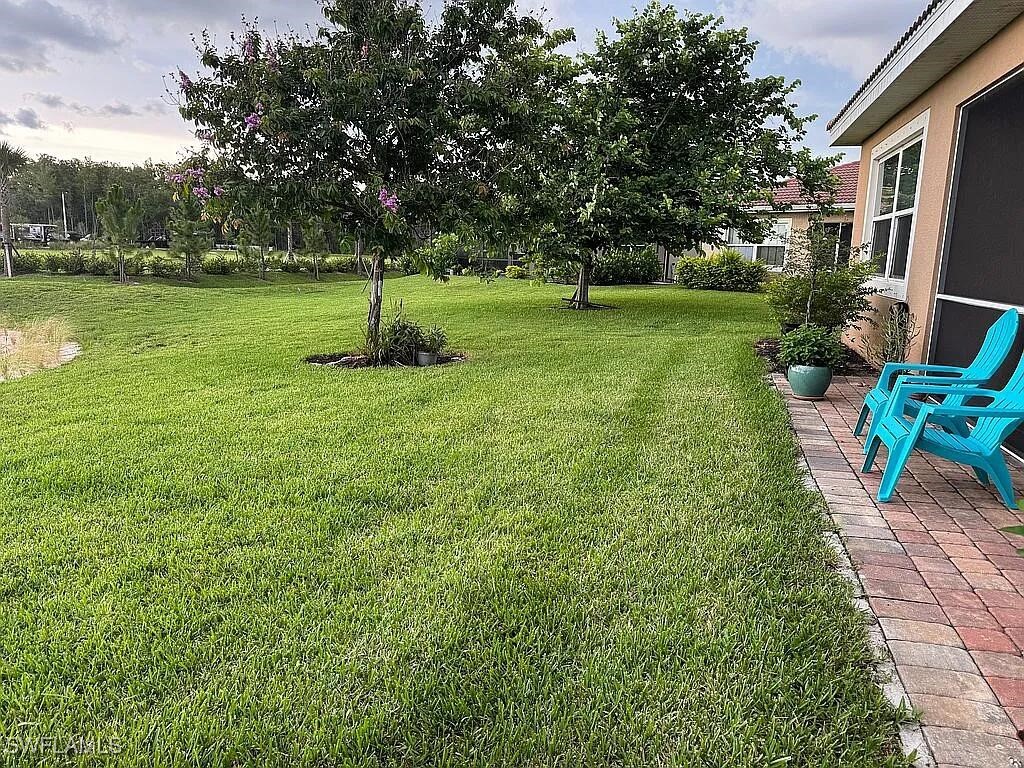 Yard