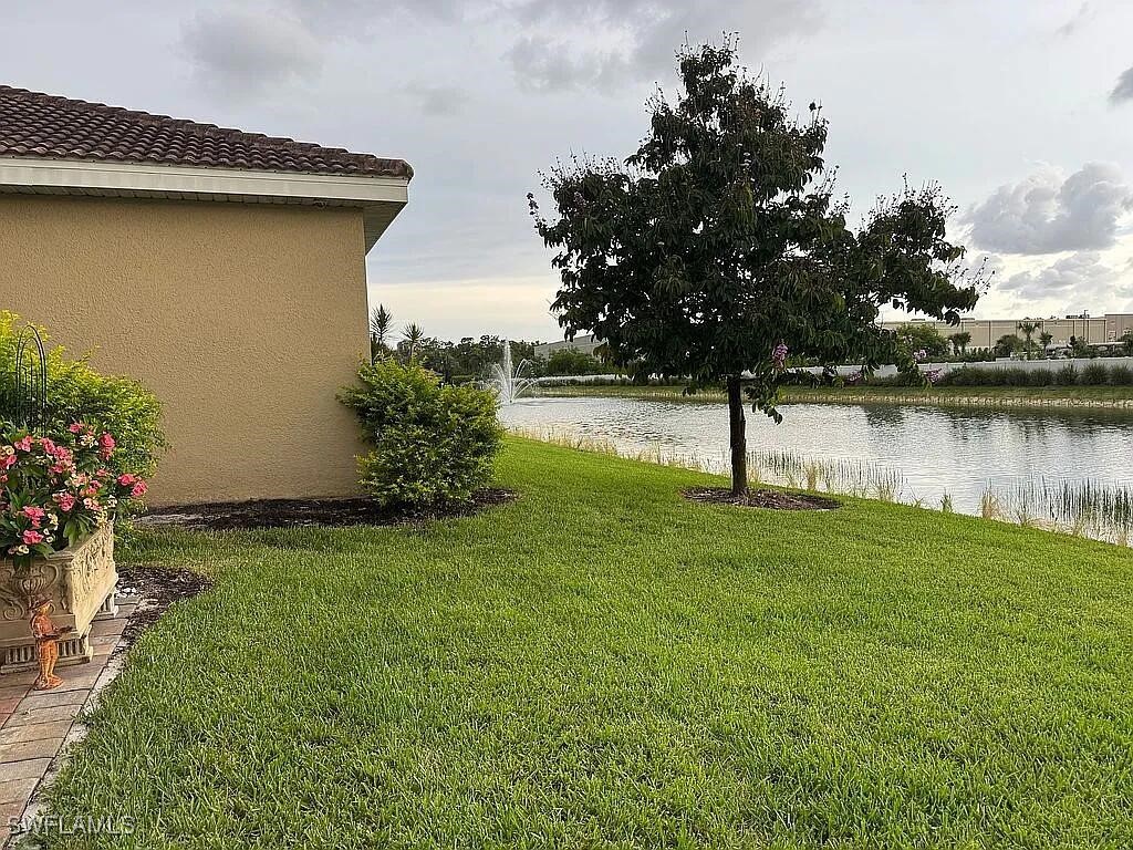Yard