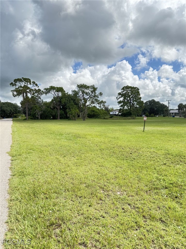 Yard