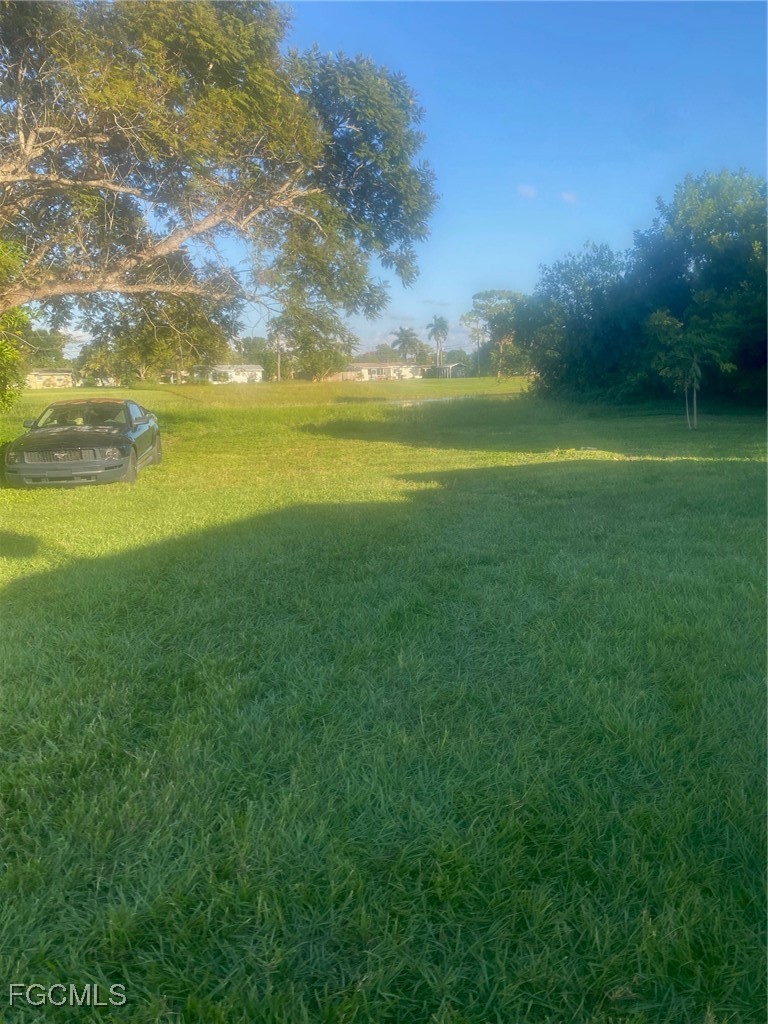 Yard