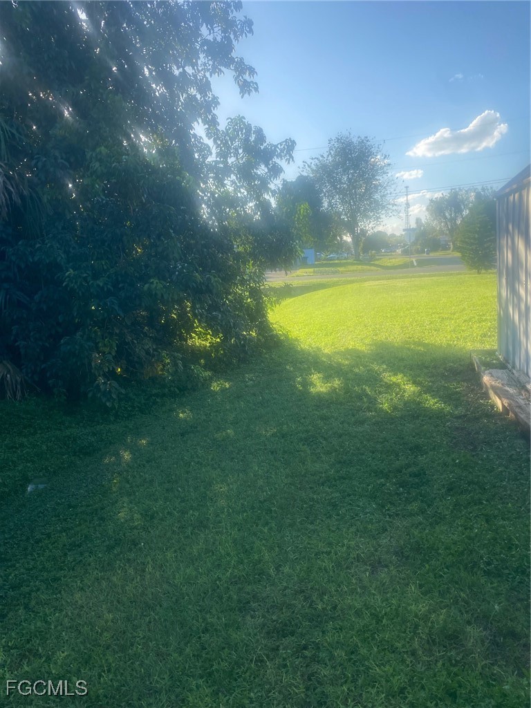 Yard