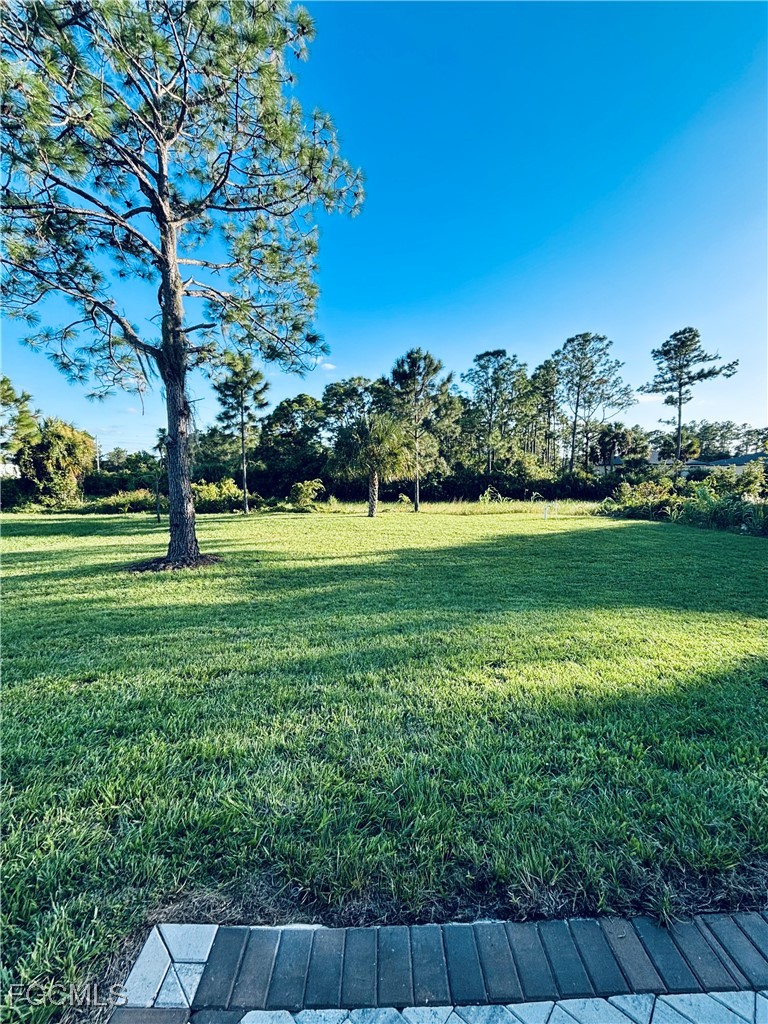 Yard