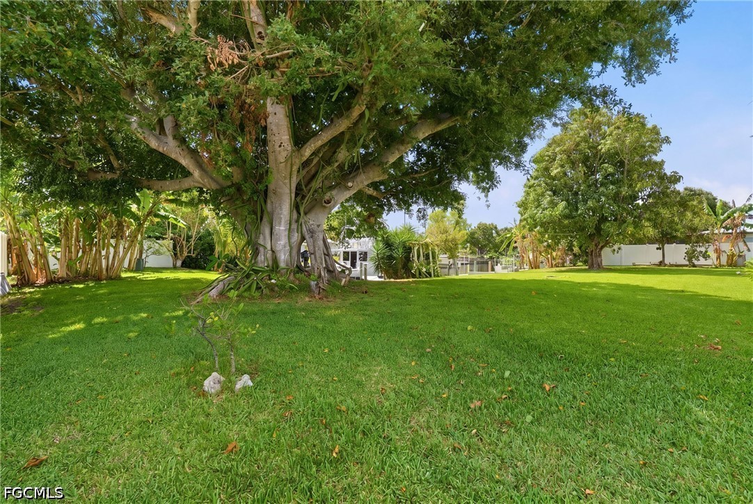 Yard