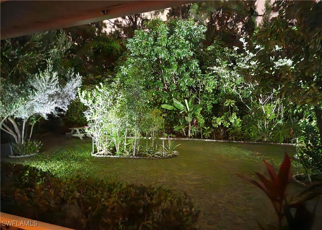 Yard