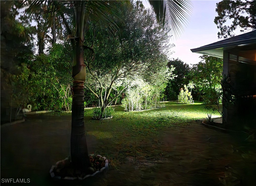 Yard