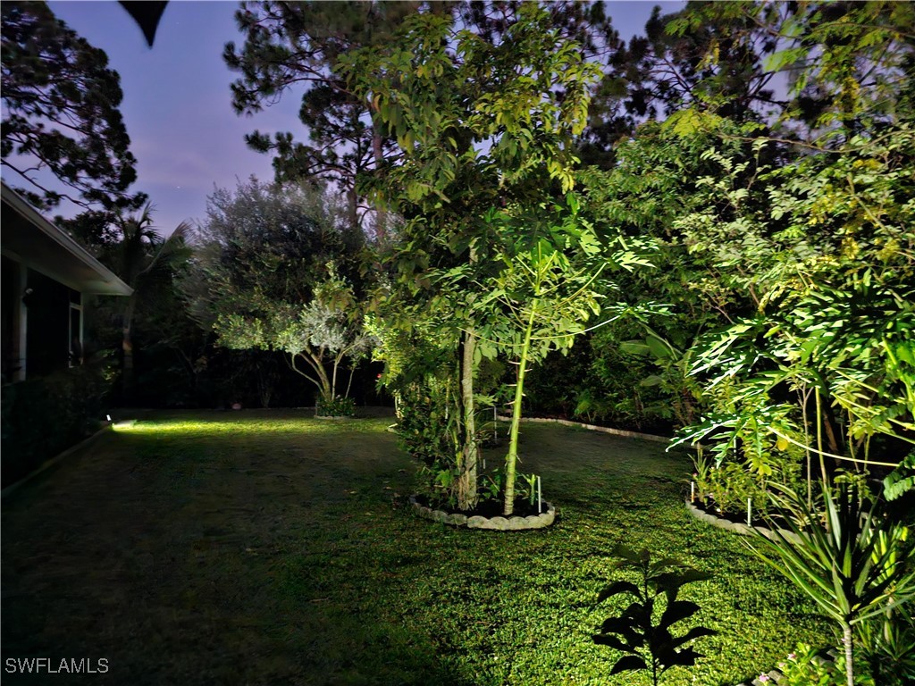 Yard