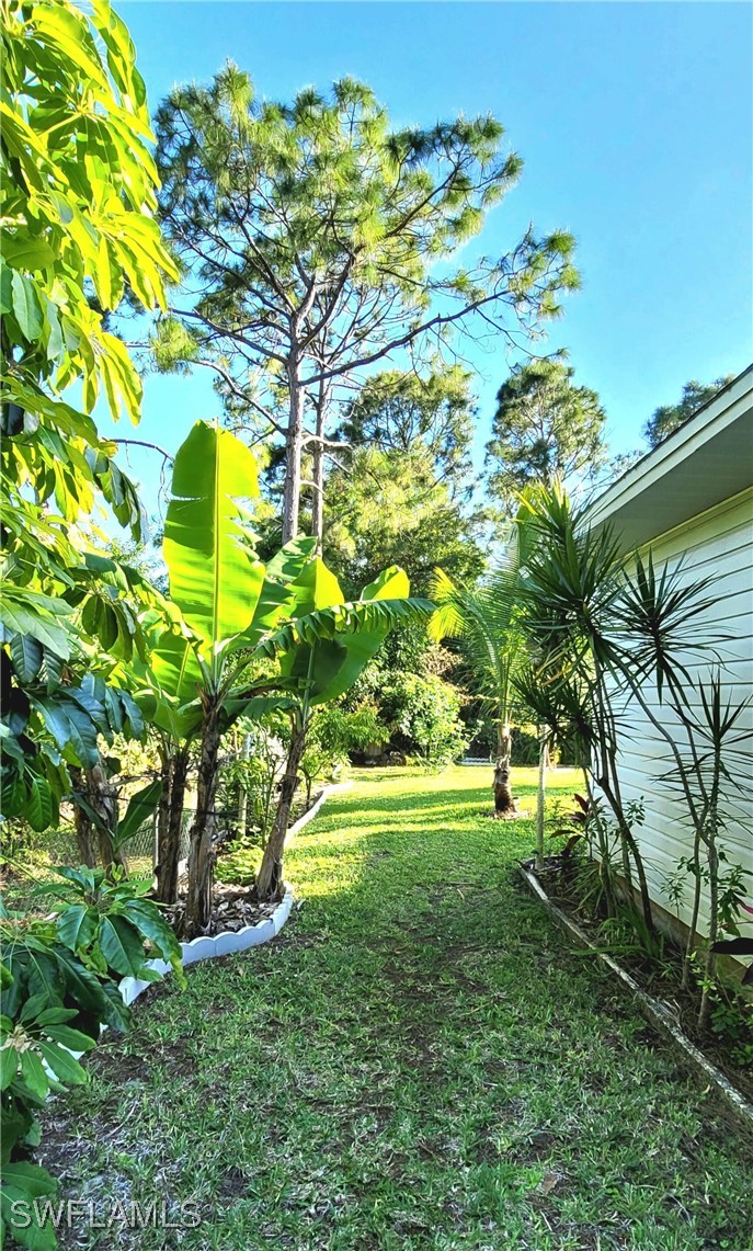 Yard
