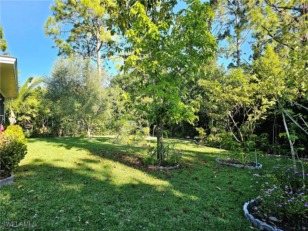 Yard