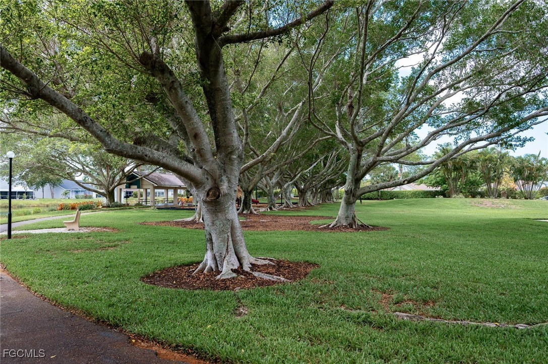 Yard