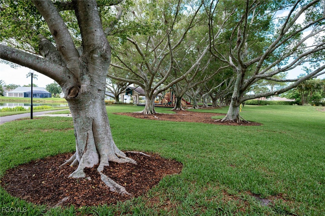 Yard