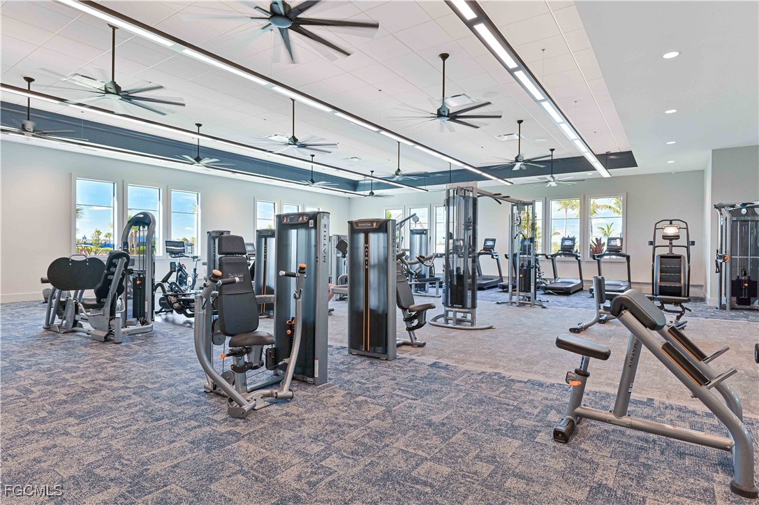 Gym