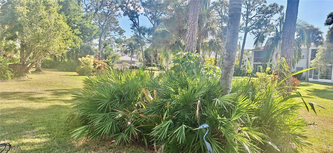 Yard