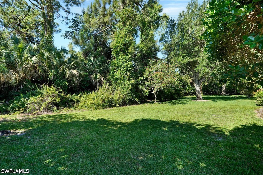 Yard