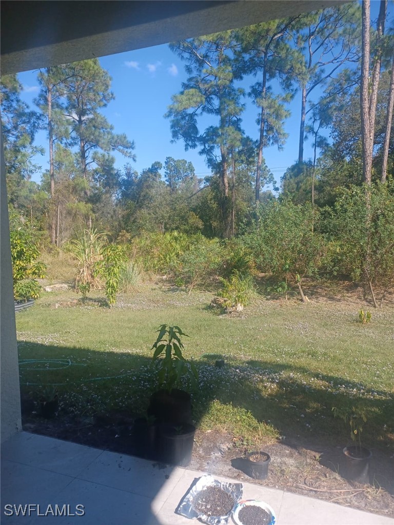 Yard