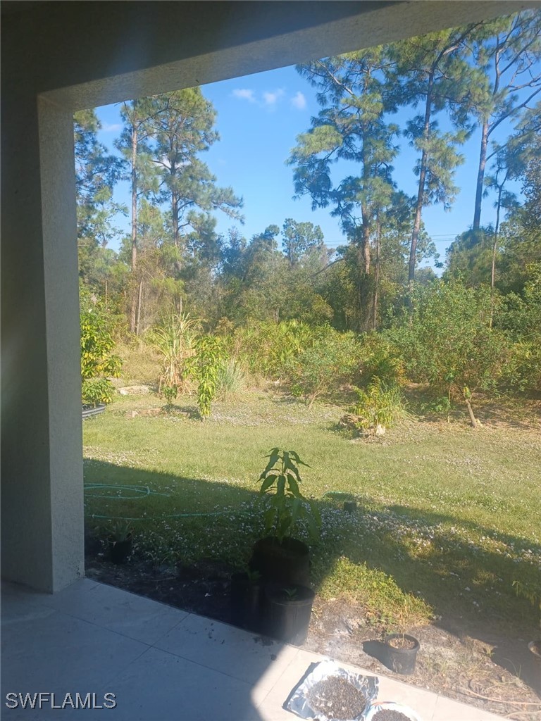 Yard