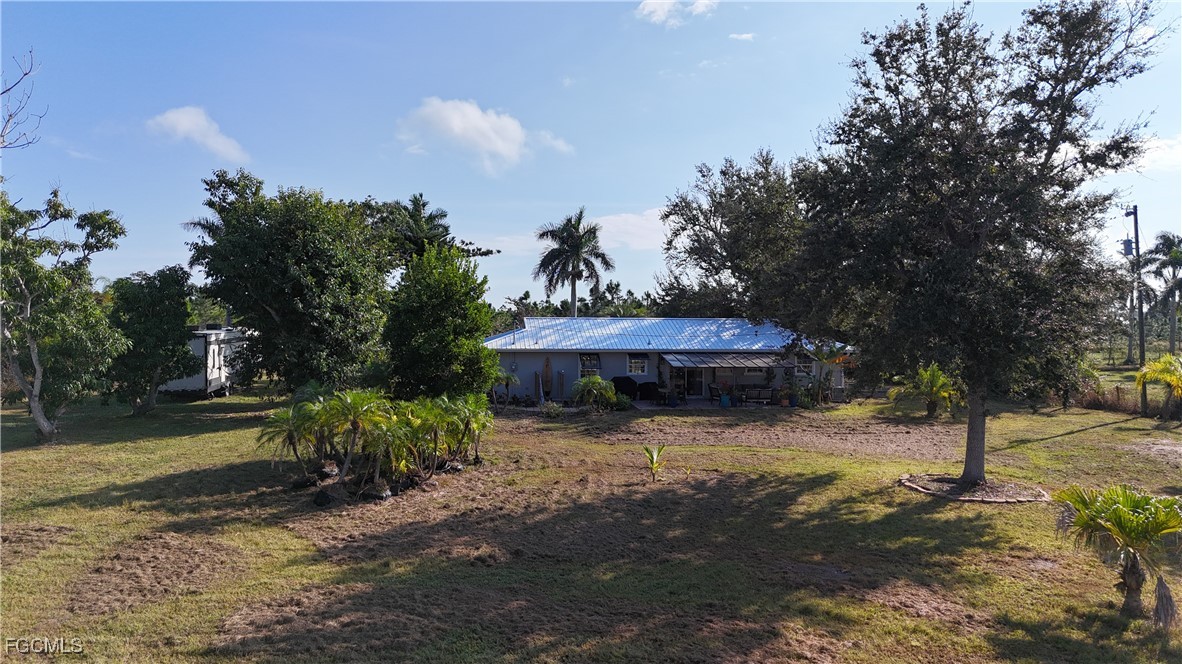 Yard