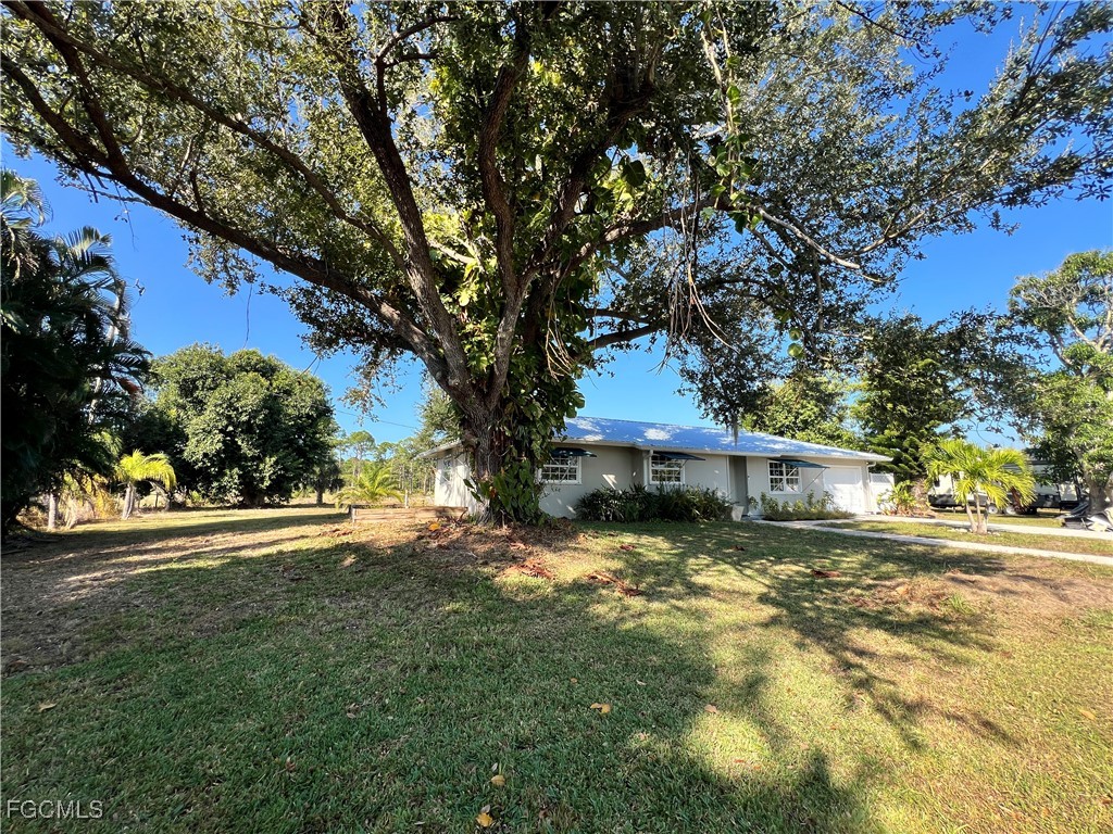 Yard