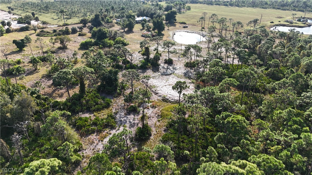 AerialView