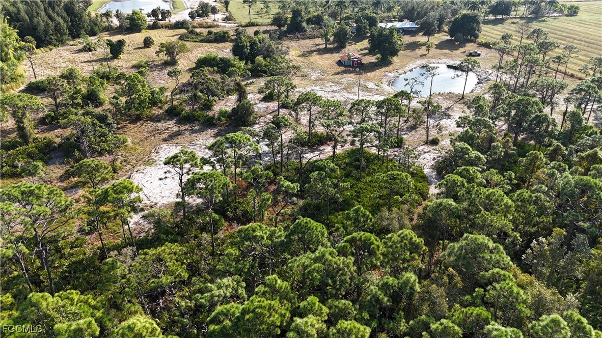 AerialView