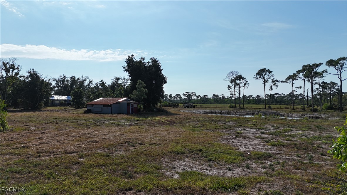 Yard