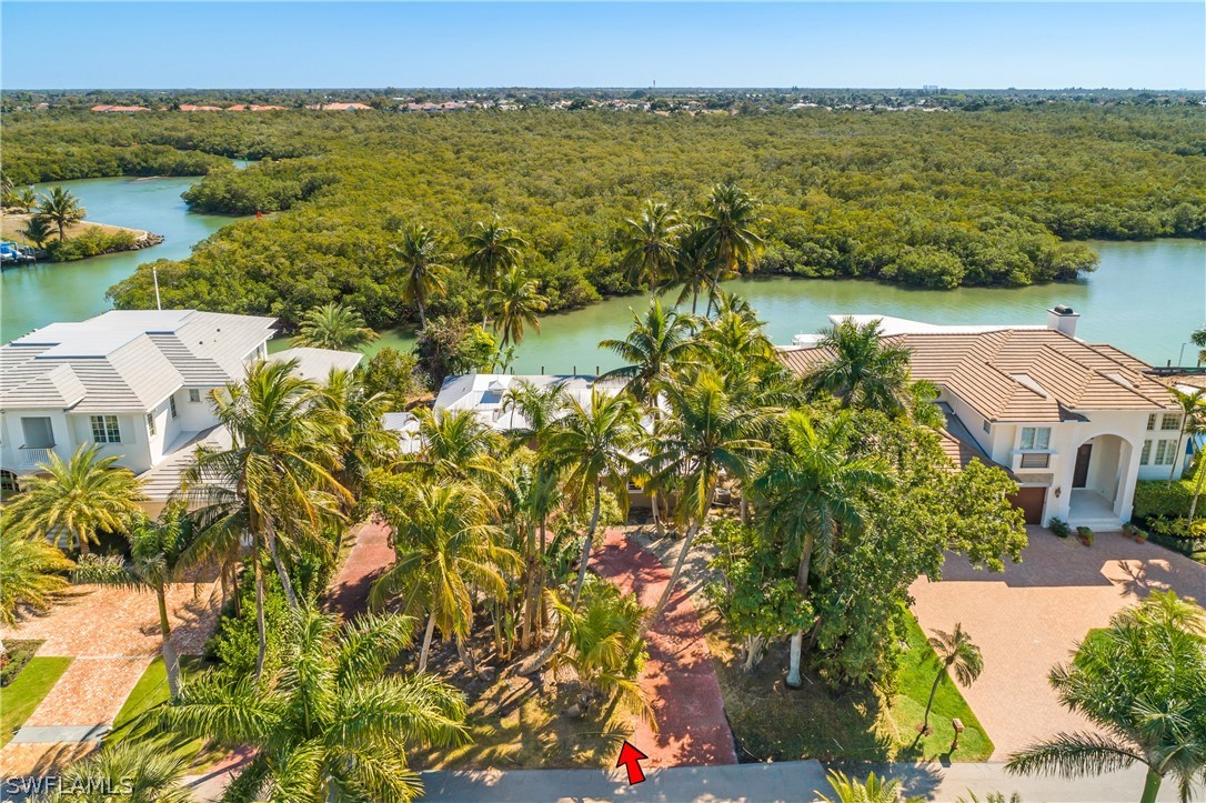 AerialView