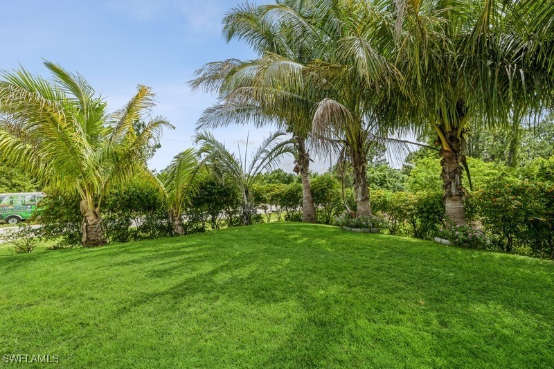 Yard