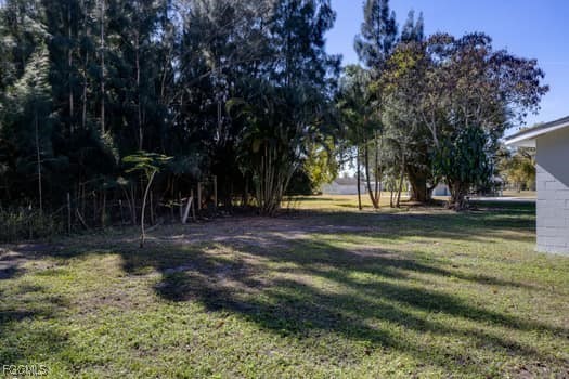 Yard