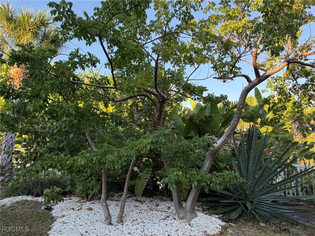 Yard