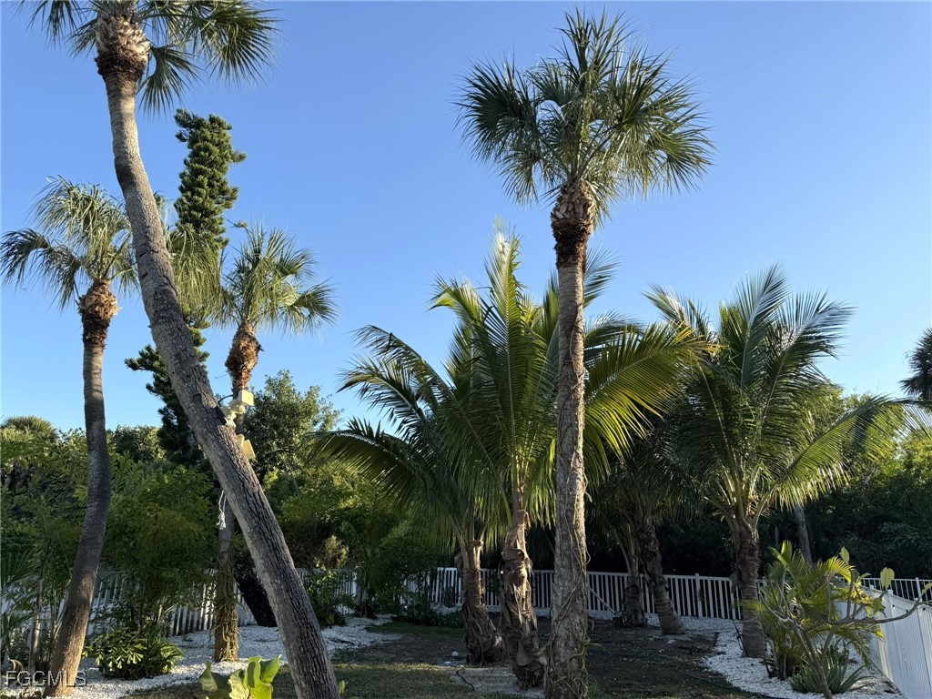 Yard
