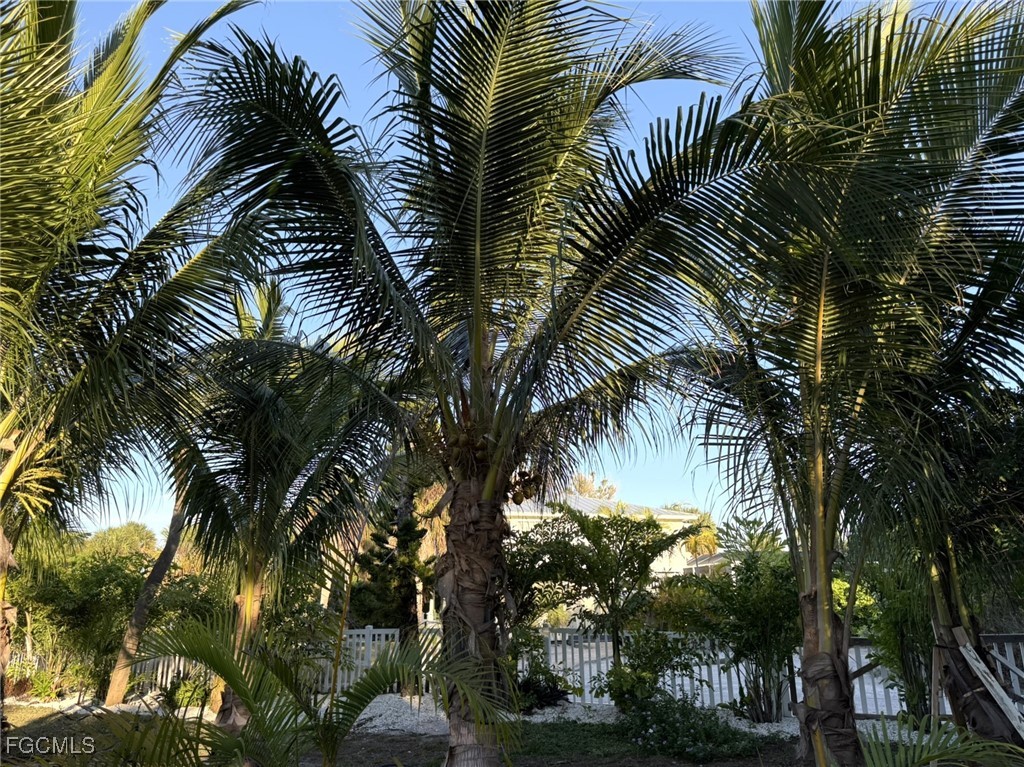 Yard