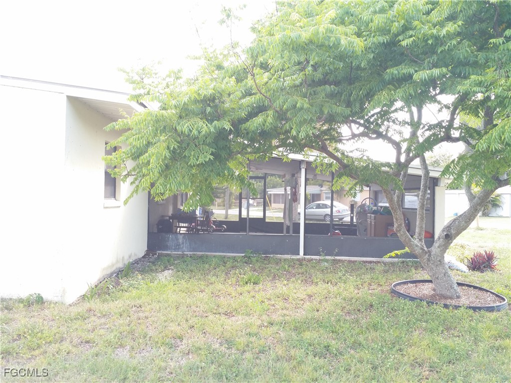 Yard