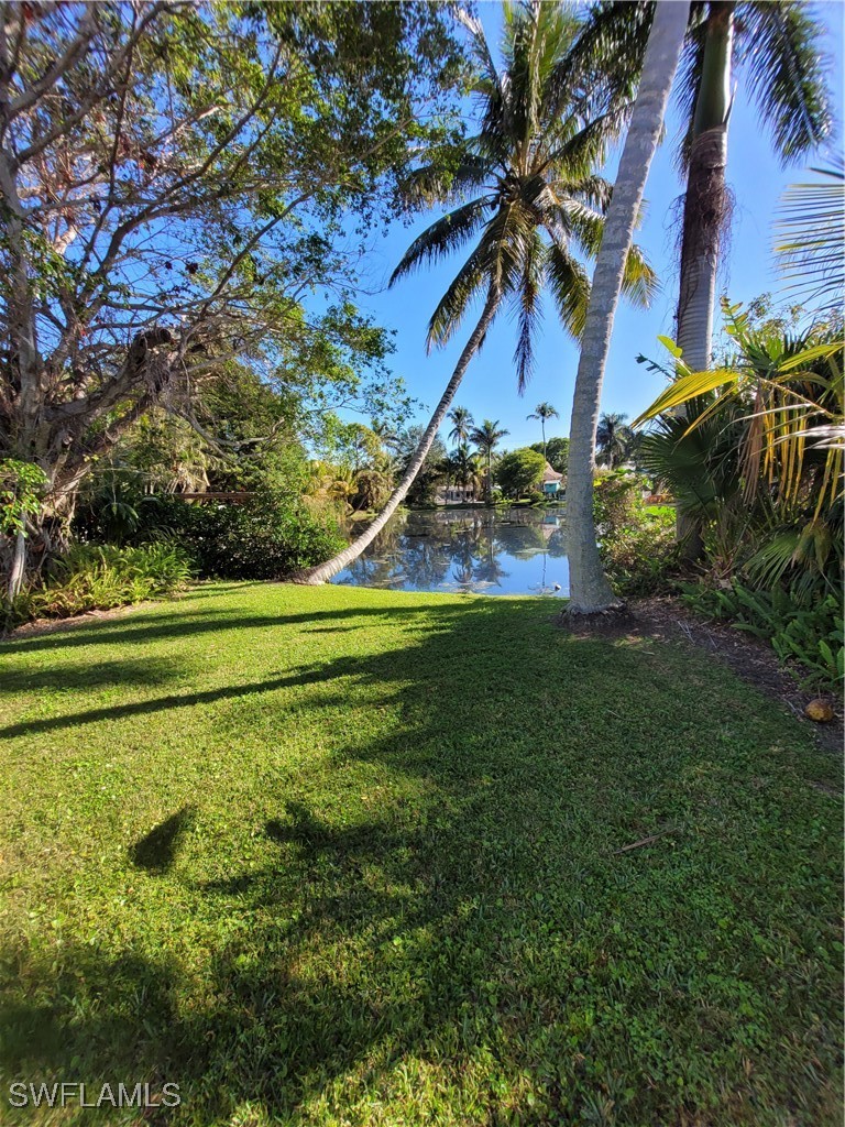 Yard