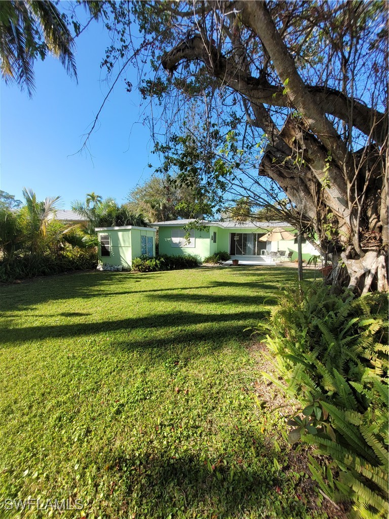Yard